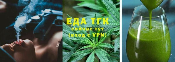шишки Няндома
