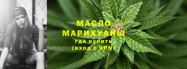 шишки Няндома