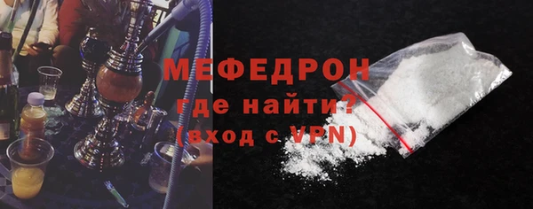 шишки Няндома