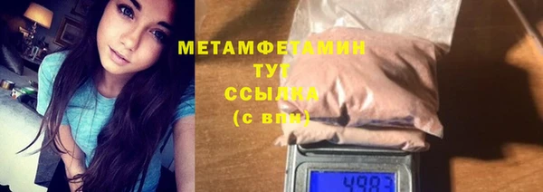 шишки Няндома