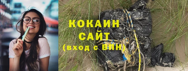 шишки Няндома