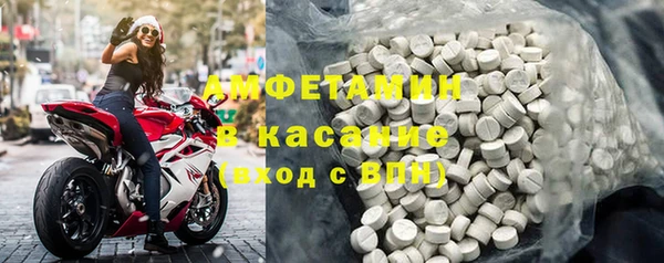 шишки Няндома