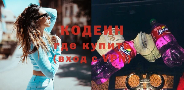 шишки Няндома