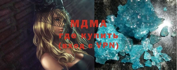 шишки Няндома