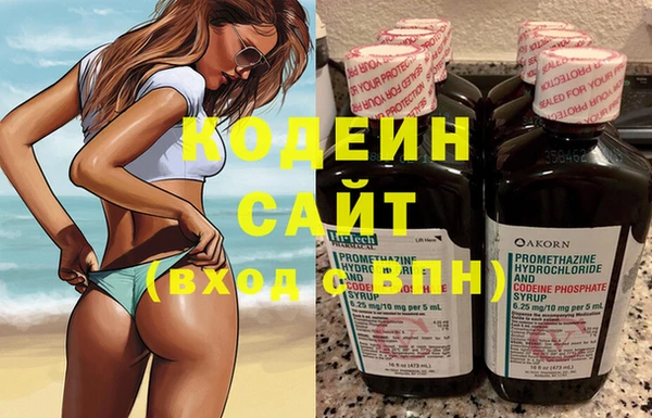 шишки Няндома