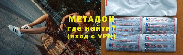 шишки Няндома