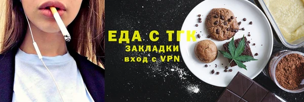 шишки Няндома