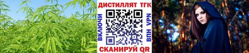 ТГК концентрат Новозыбков
