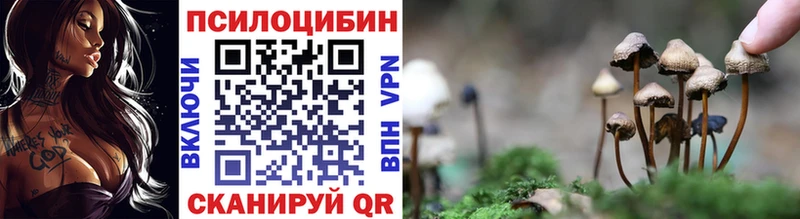 Псилоцибиновые грибы мицелий  Новозыбков 