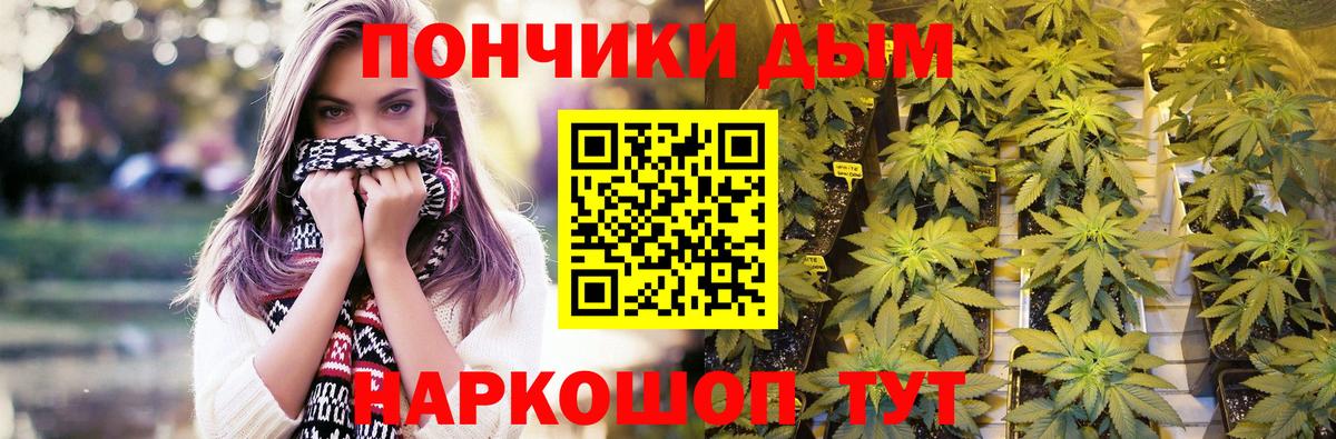 Бошки Шишки Bruce Banner  Каннабис Ganja  Вход с VPN  Новозыбков  Шишки марихуана White Widow  Бошки Шишки конопля 